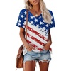 Usa Flag